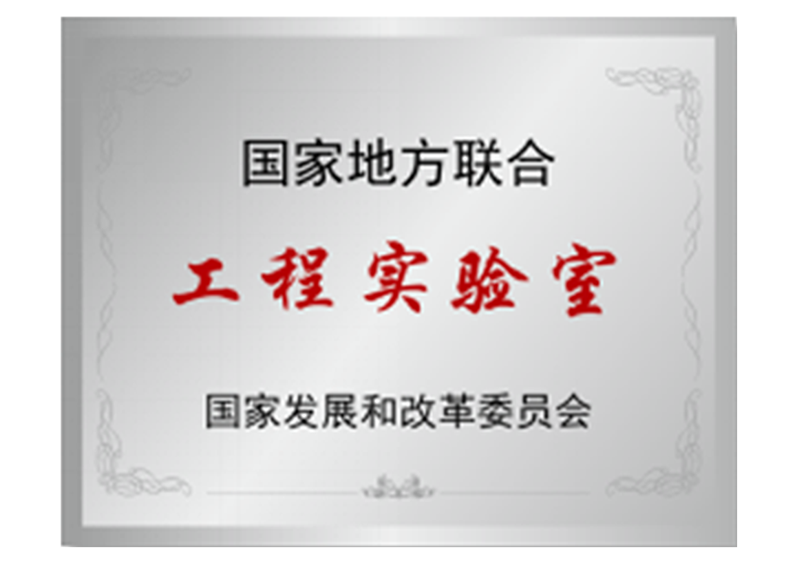 国家地方联合工程实验室